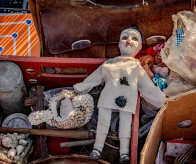 car-boot-dolly